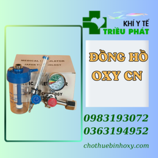 Đồng hồ oxy công nghiệp 