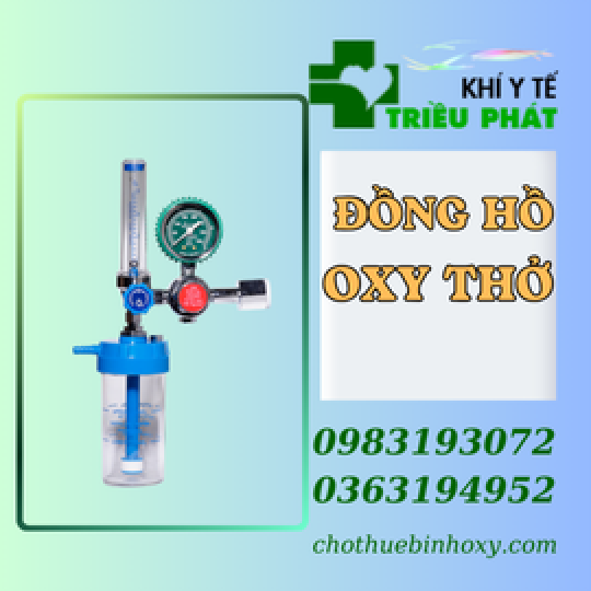 Đồng hồ oxy thở